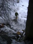 07.01.2012 - Baum auf Wohnhaus