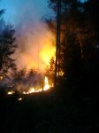 06.05.2011 - Waldbrand, Tarrenz 